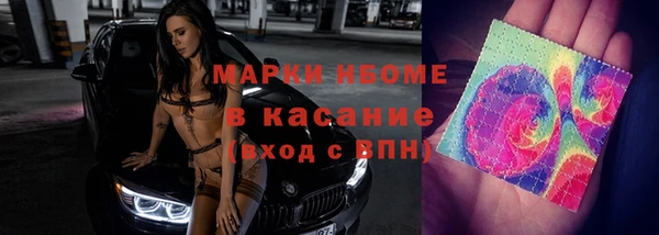 сатива Богородицк