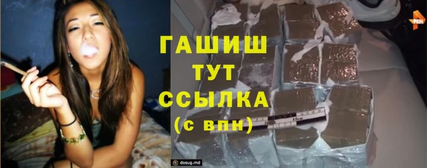 сатива Богородицк