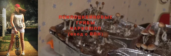 трава Богородск