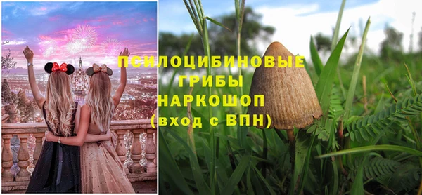 ALPHA PVP Покровск