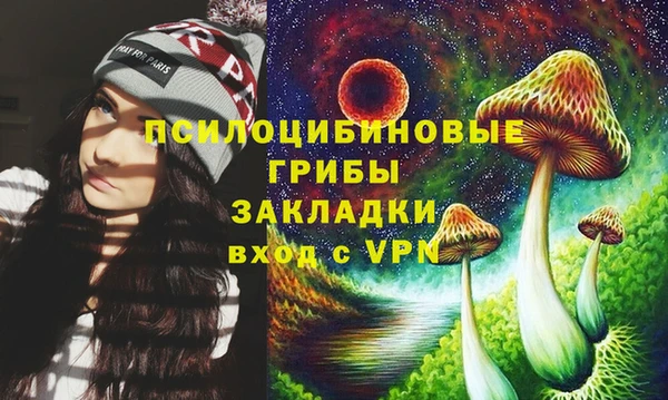 сатива Богородицк